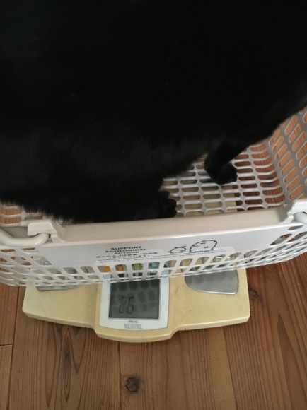 c0011300_19581093.jpeg