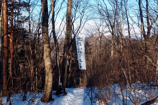 e0137200_1201878.jpg