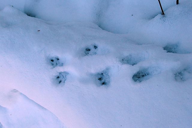 e0137200_1205894.jpg