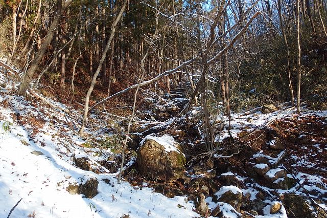 e0137200_1242915.jpg