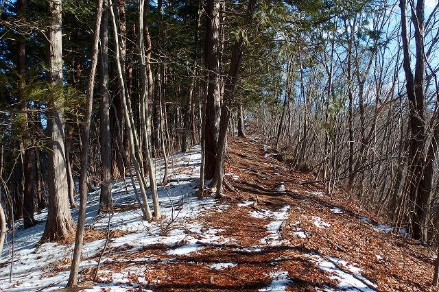 e0137200_1263775.jpg