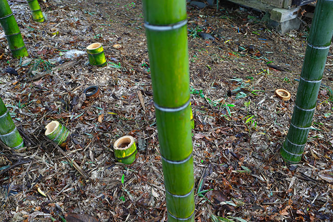 a0087804_17103326.jpg