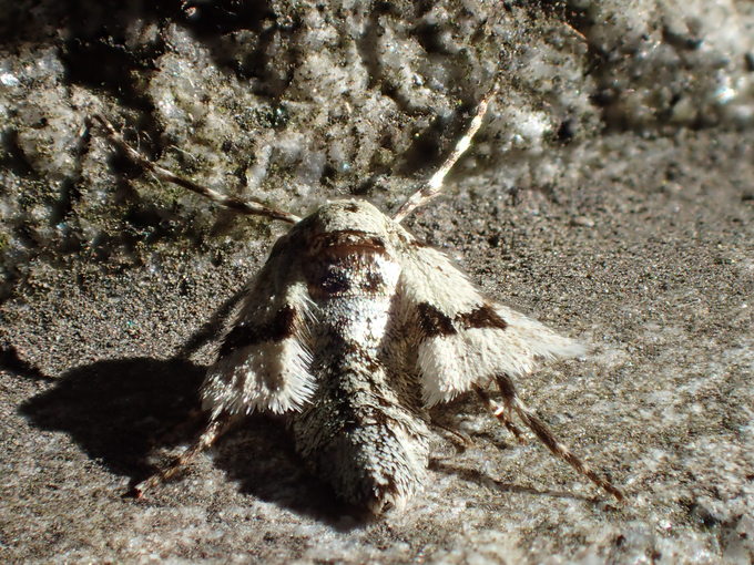 d0251807_8161072.jpg