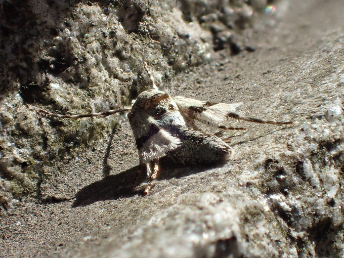 d0251807_816187.jpg
