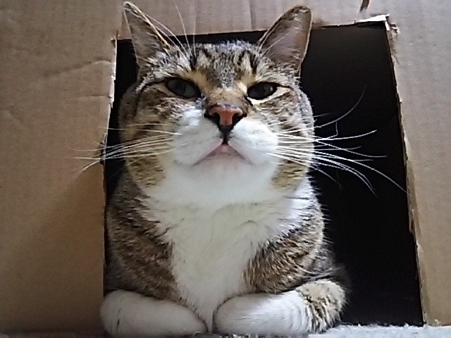 f0316507_14391056.jpg