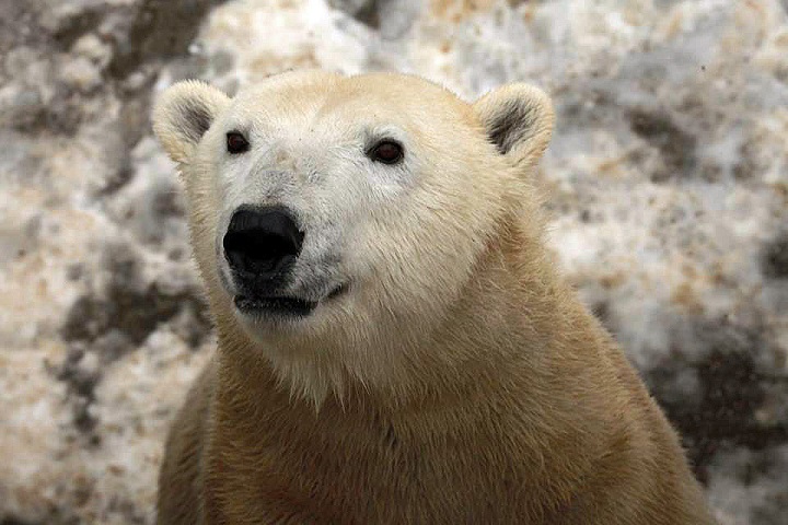 a0151913_2317287.jpg