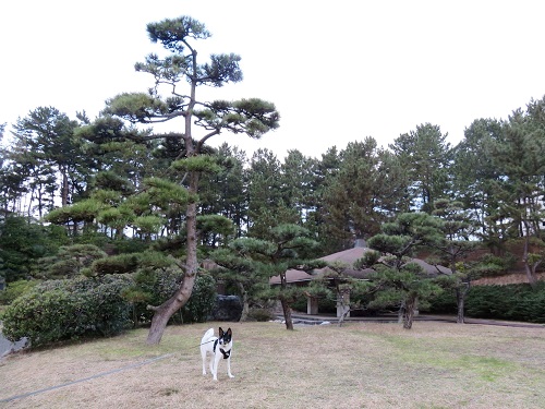 c0084117_19553762.jpg