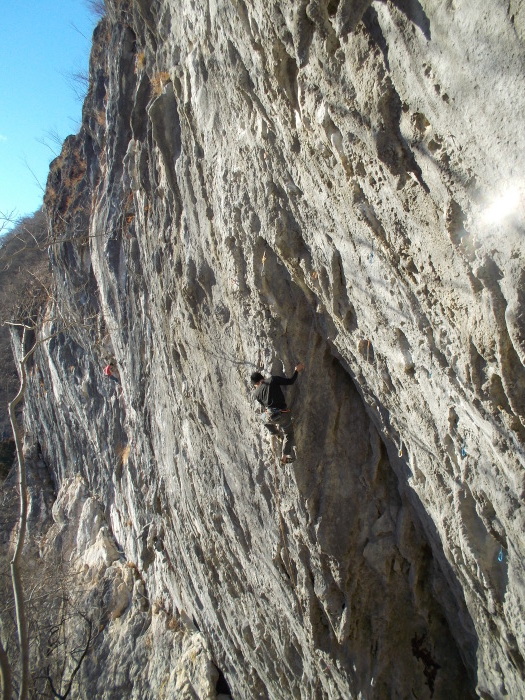 b0037220_22220354.jpg