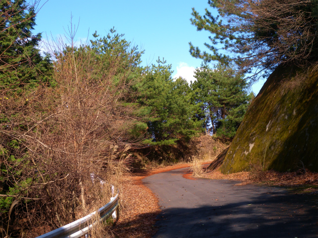 e0272335_20225080.jpg