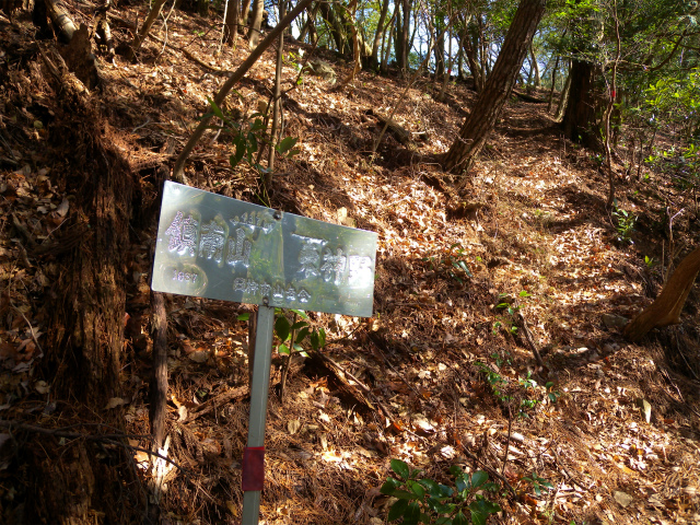e0272335_20301718.jpg