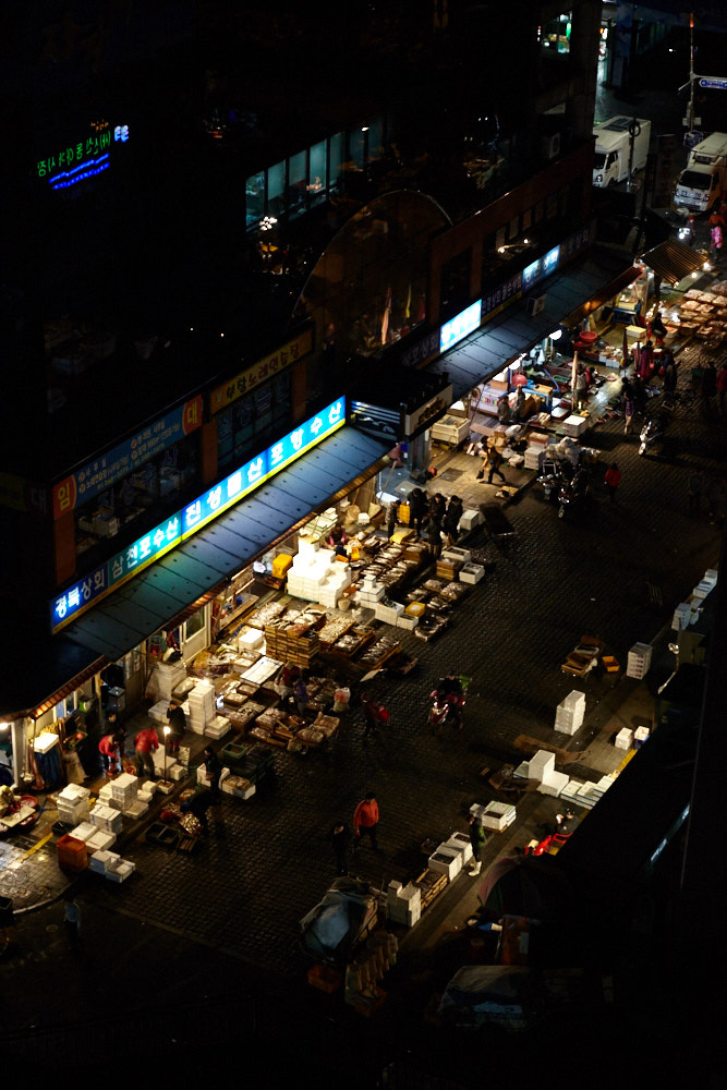 d0139939_17202565.jpg