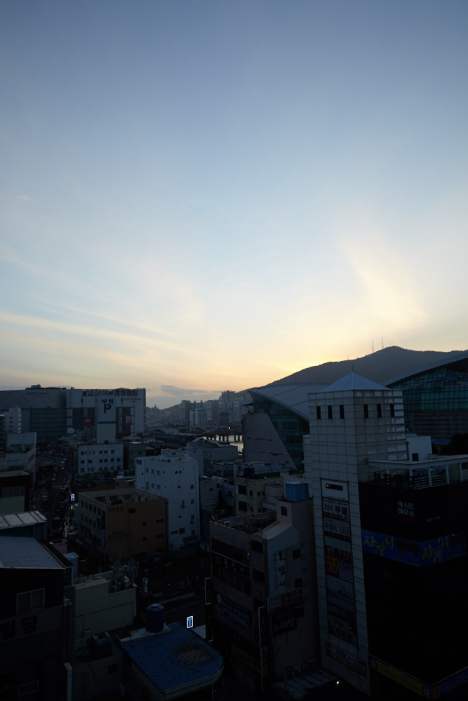d0139939_17252846.jpg