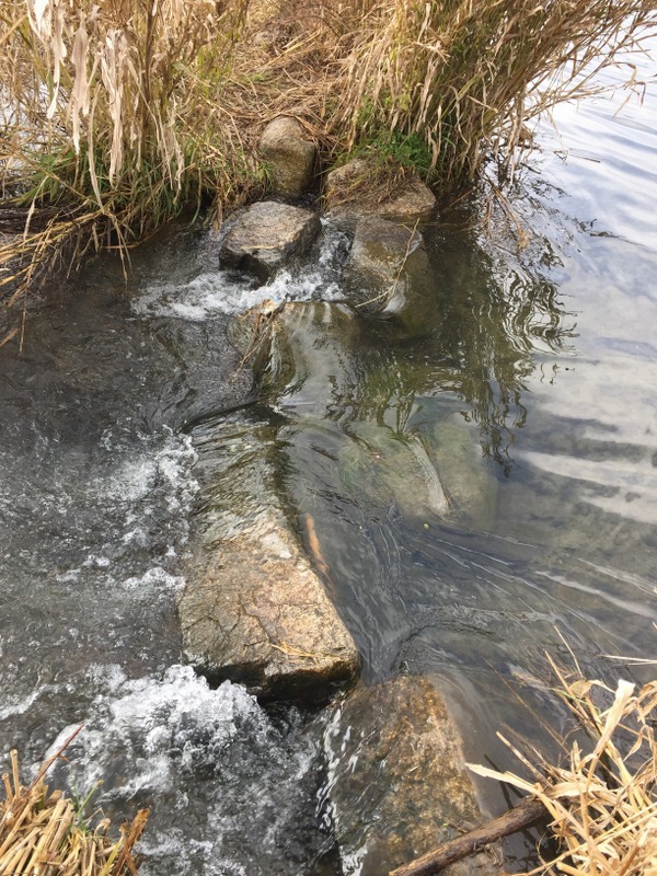 b0057140_17245249.jpg