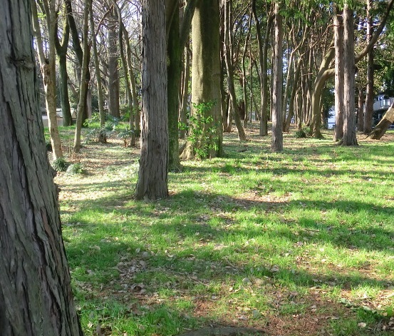 e0082045_946543.jpg