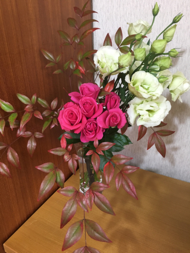f0008449_14111784.jpg