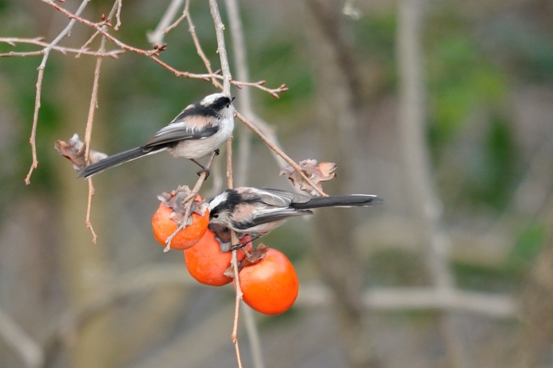 c0334250_23085379.jpg