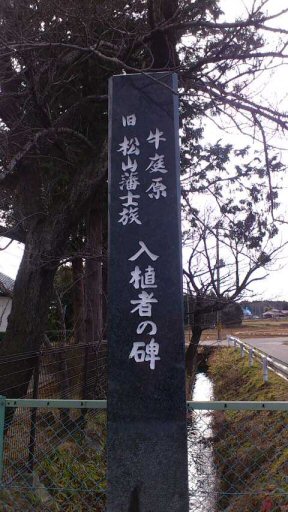 c0017651_415992.jpg