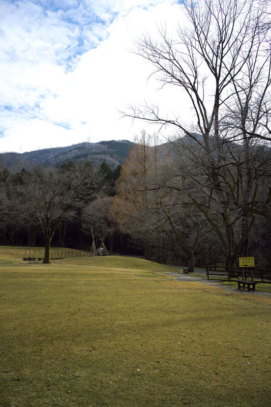 d0342652_1732045.jpg