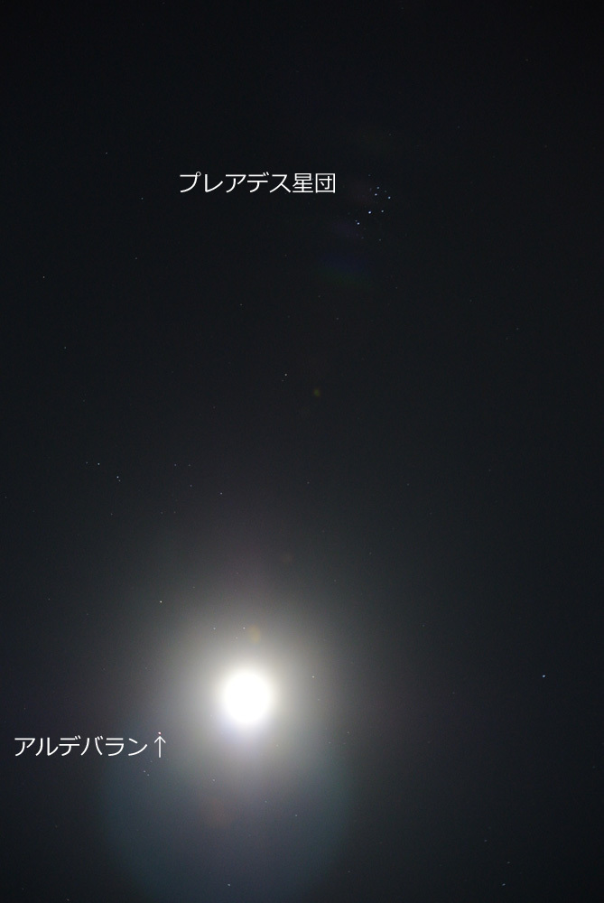 c0350853_19324472.jpg
