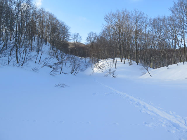 c0116856_1704515.jpg