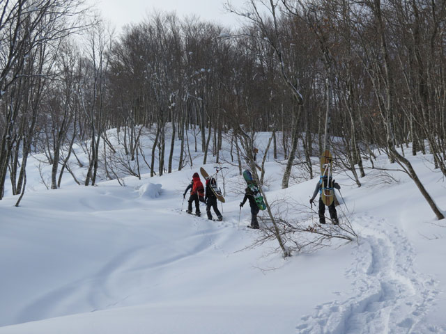 c0116856_1705475.jpg