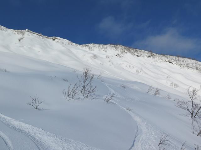 c0116856_1714427.jpg