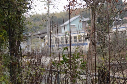 c0186463_20505151.jpg