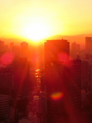 e0045768_2225550.jpg