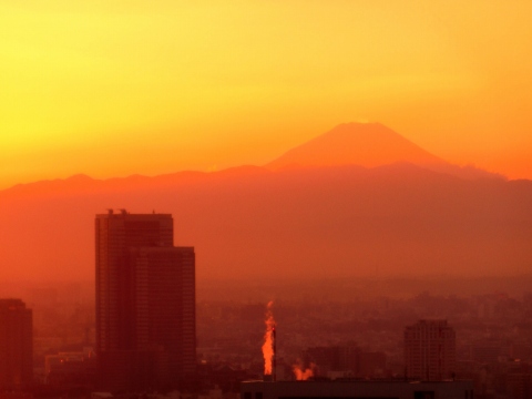 e0045768_22383.jpg