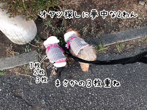 e0248268_14473076.jpg