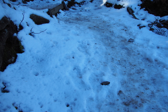 e0307372_21024351.jpg