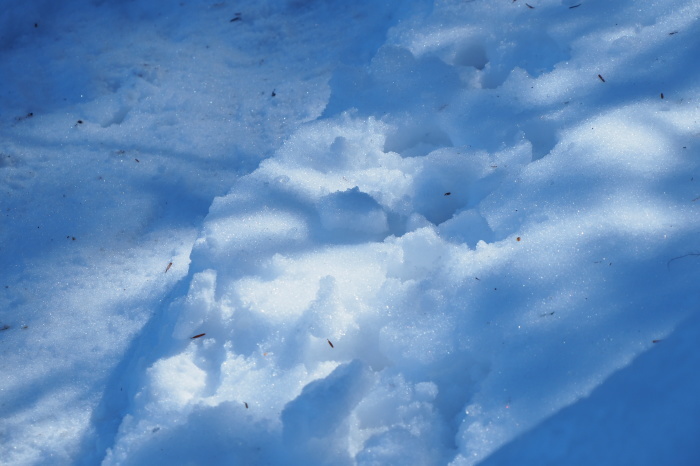 e0307372_21114977.jpg