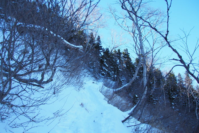 e0307372_22312966.jpg