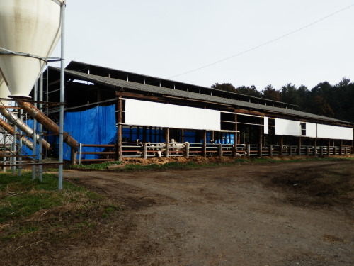 b0334084_21315420.jpg