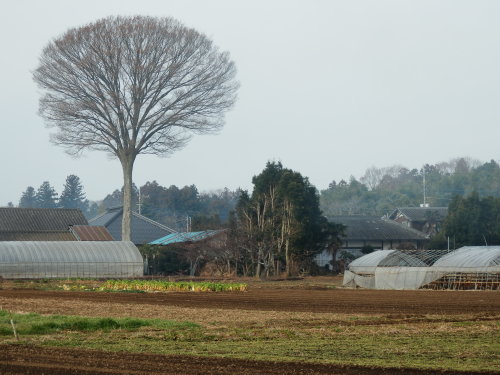 b0334084_21323981.jpg