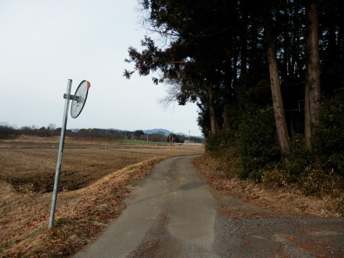 b0334084_21334815.jpg