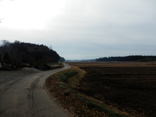 b0334084_21344048.jpg