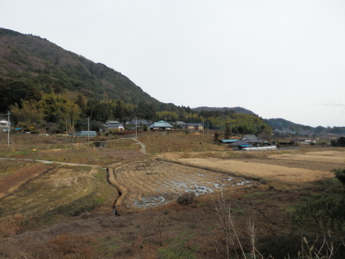 b0334084_21374992.jpg