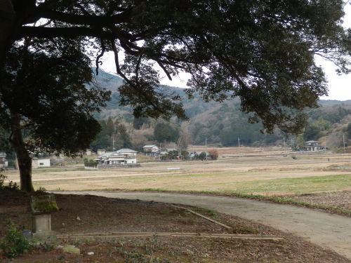 b0334084_21431469.jpg