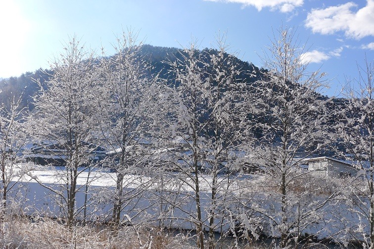 a0130586_1259935.jpg