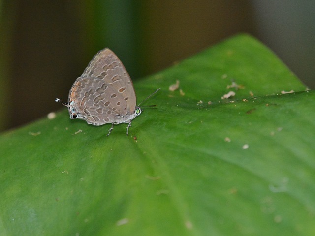 f0310988_13453643.jpg