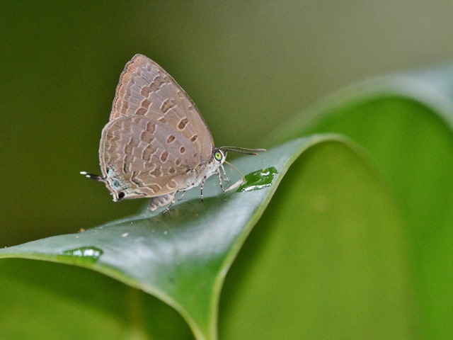 f0310988_13535001.jpg