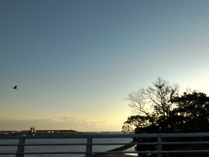 c0049299_23091379.jpg