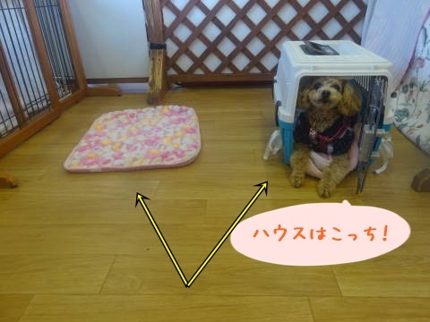 a0338800_18275451.jpg