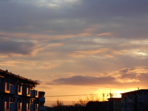a0162505_12502446.jpg
