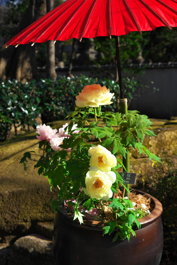 a0263109_10311815.jpg
