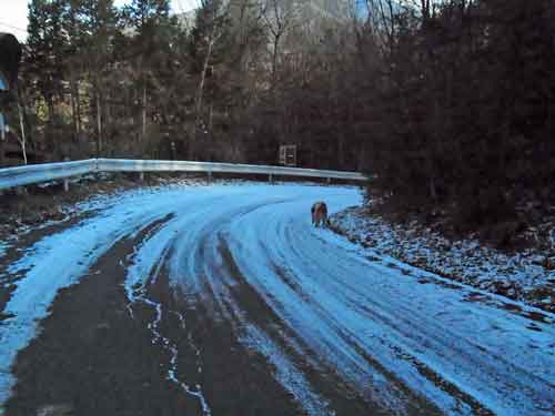 e0001110_1154344.jpg