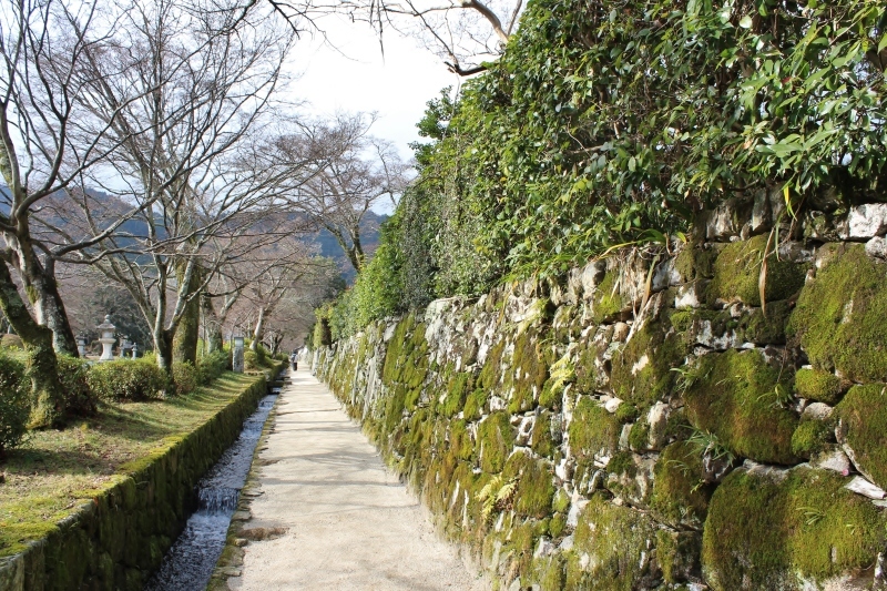 b0220318_03433057.jpg