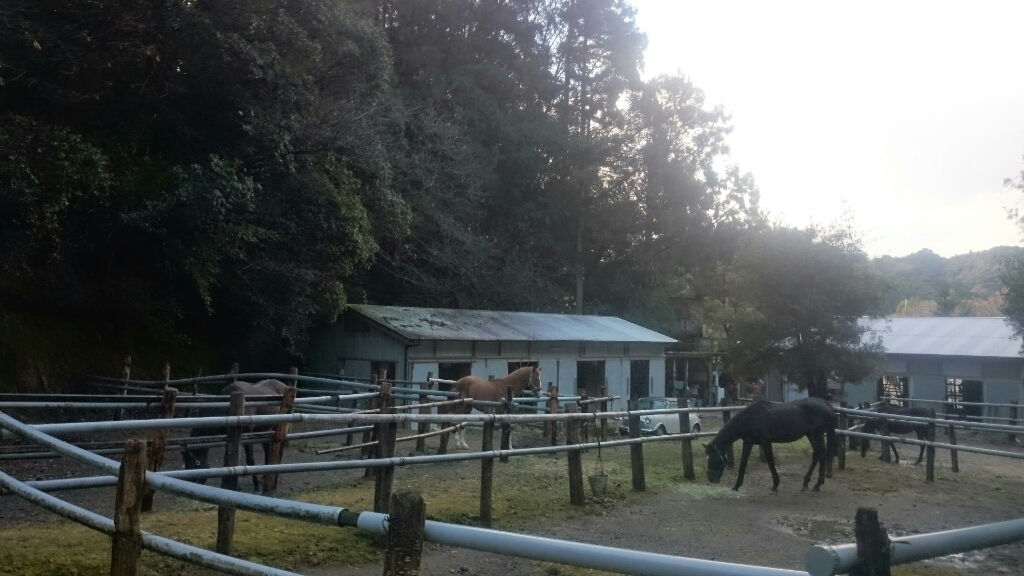 b0187620_20372381.jpg