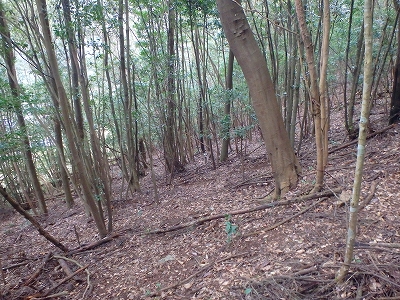 f0193521_344832.jpg